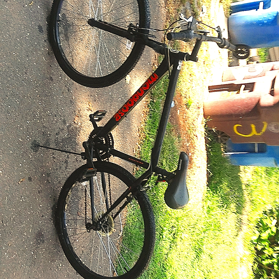 Mongoose Bike